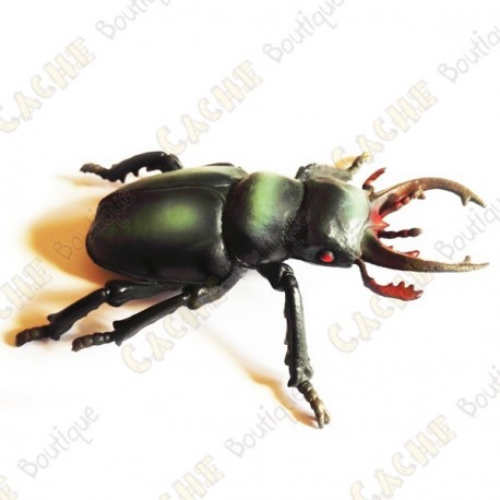 Cache "insect" - Large beetle