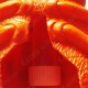 Cache "Inseto magnética" - Grande besouro laranja
