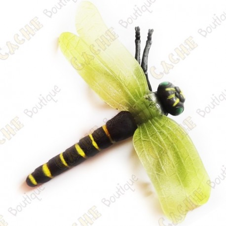 Cache "insect" - Large dragonfly