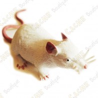 Cache "Inseto" - Rato branco