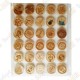 Plastic Wood coins tray - 30 fields