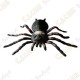 Cache "insect" - Medium Spider