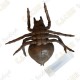 Cache "insect" - Spider