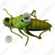 Cache "insect" - Grasshopper