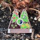 Geocoin CITO 2026